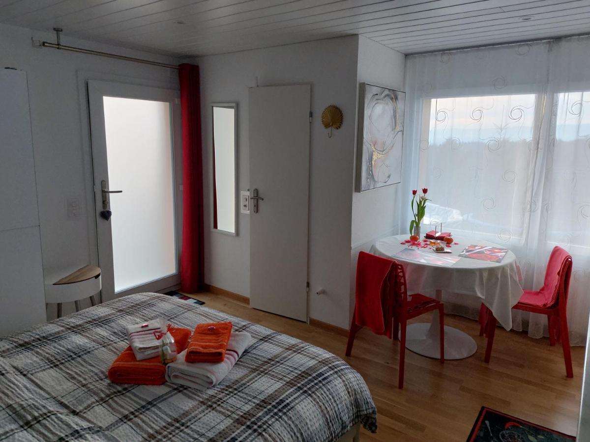 Beau Studio Avec Terrasse Et Vue Exclusivement Pour Non Fumeurs Belmont-sur-Lausanne Eksteriør billede